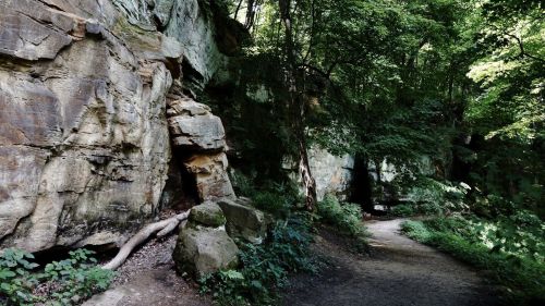 A serene forest path winding through rocky cliffs and lush greenery. Sunlight filters through the trees.