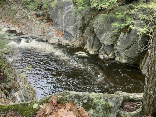 A serene river flows between rocky cliffs, surrounded by lush greenery and fallen leaves.