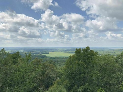 A panoramic view of lush green fields and trees under a partly cloudy sky.
