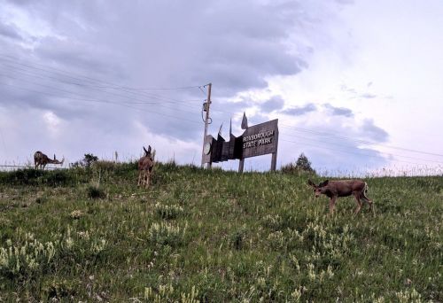Three deer graze in a grassy area near the entrance sign of a state park under a cloudy sky.