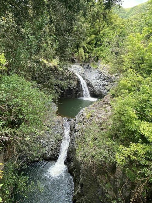 A serene waterfall cascading into a rocky pool, surrounded by lush green foliage and trees.