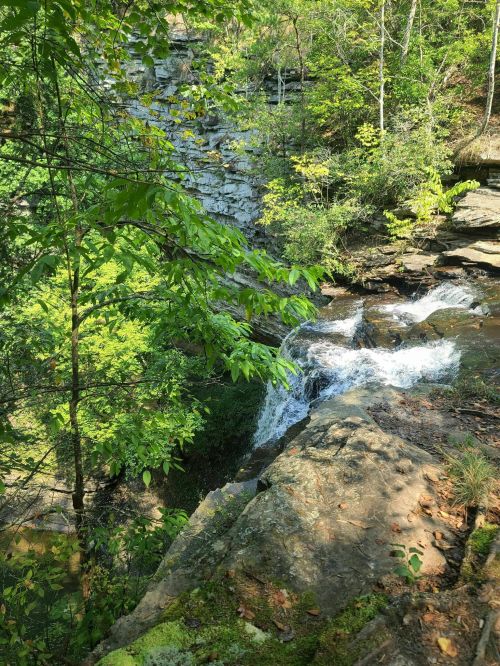 A serene waterfall cascades over rocks, surrounded by lush green trees and a rocky cliff in a peaceful natural setting.