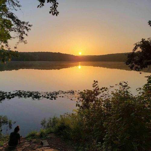 A serene sunset over a calm lake, with a person sitting on the shore surrounded by trees and reflections on the water.