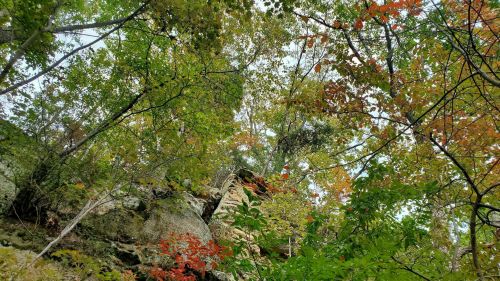 A view of a rocky outcrop surrounded by vibrant green and autumn-colored leaves.