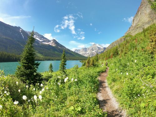 A scenic trail beside a turquoise lake, surrounded by lush greenery and mountains under a clear blue sky.
