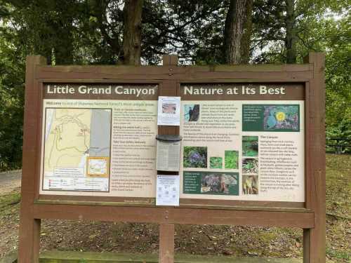 Signboard at Little Grand Canyon with a map and information about the area, surrounded by trees.