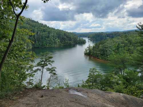 A serene lake surrounded by lush green trees under a cloudy sky, with gentle ripples on the water's surface.