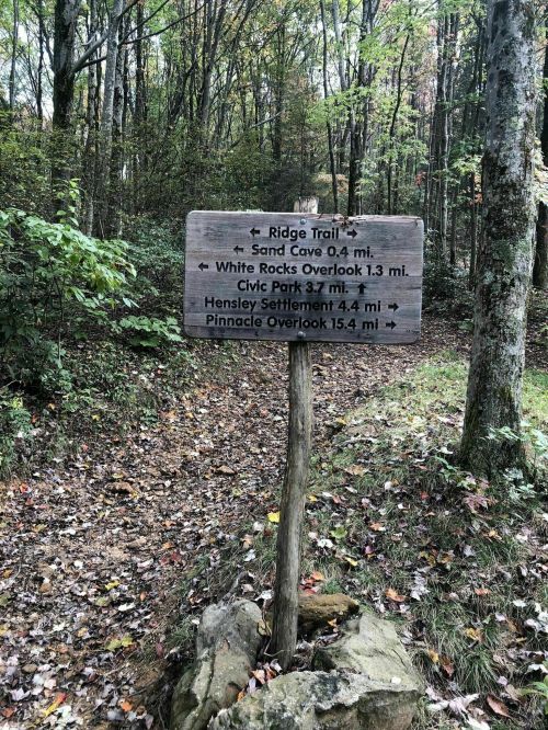 Wooden trail sign in a forest, indicating distances to various locations: Ridge Trail, Sand Cave, and overlooks.