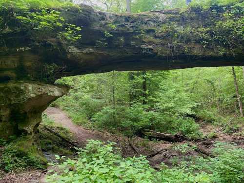 A natural stone archway surrounded by lush green trees and foliage in a serene forest setting.