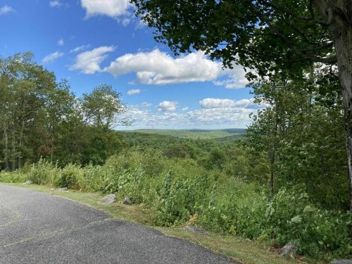 A scenic view of rolling green hills under a blue sky with fluffy clouds, framed by trees along a winding road.