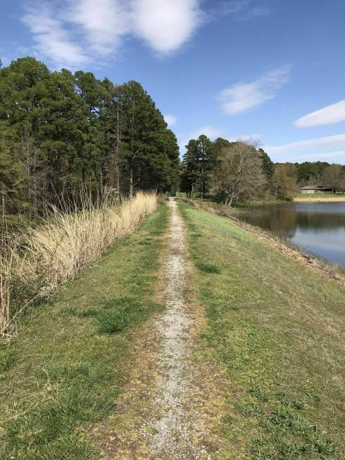 A gravel path lined with grass and trees, leading alongside a calm lake under a blue sky with scattered clouds.