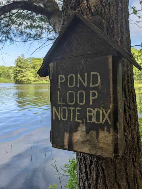A wooden note box labeled "Pond Loop" hangs on a tree by a calm lake surrounded by greenery.
