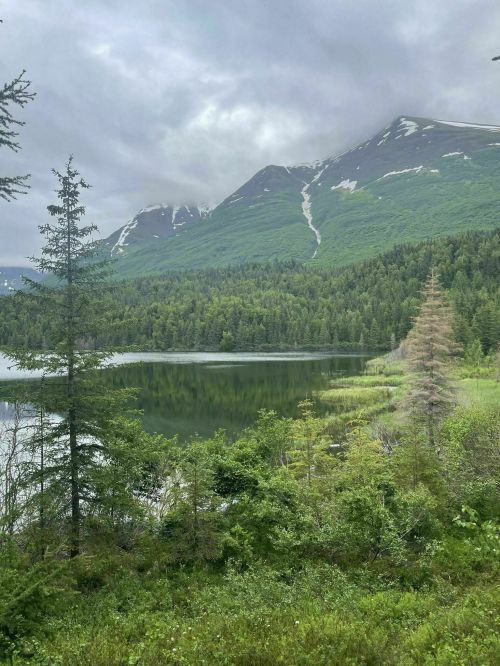 A serene landscape featuring a calm lake surrounded by lush green mountains and trees under a cloudy sky.
