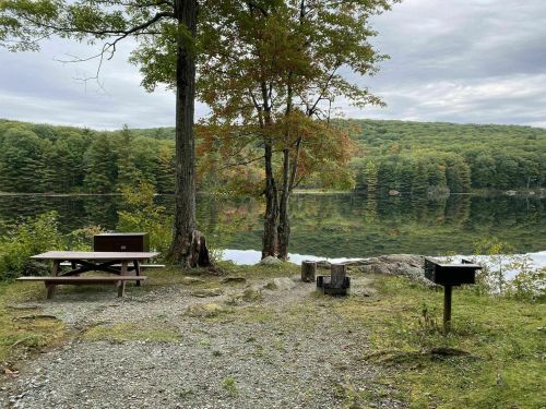 A serene lakeside scene with a picnic table, grill, and trees reflecting in calm water under a cloudy sky.