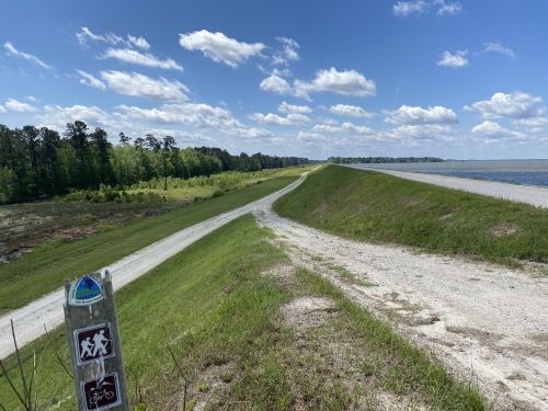 A gravel path along a levee with green grass, trees, and a blue sky with clouds in the background.