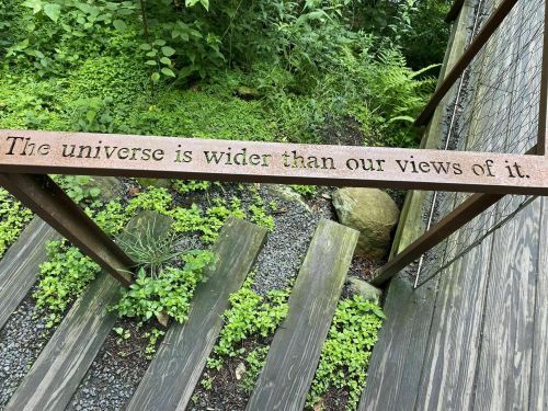 A wooden railing with the quote, "The universe is wider than our views of it," surrounded by greenery and wooden steps.