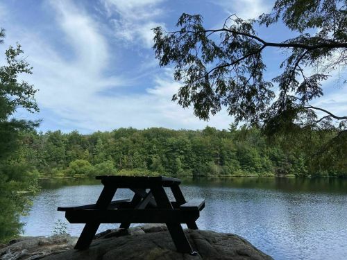 A picnic table on a rocky shore overlooking a calm lake, surrounded by lush green trees and a blue sky.