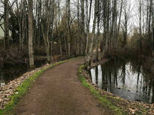 A winding dirt path beside a calm waterway, surrounded by bare trees and sparse vegetation on a cloudy day.