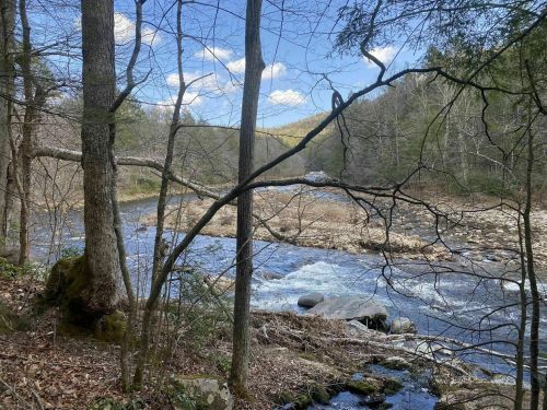 A serene river flows through a wooded area, surrounded by trees and rocky banks under a blue sky with clouds.