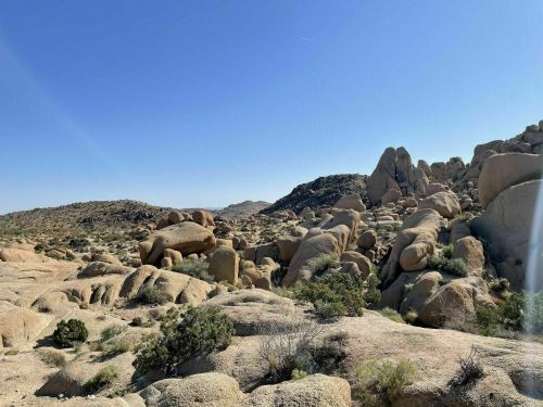 A rocky desert landscape with large boulders and sparse vegetation under a clear blue sky.
