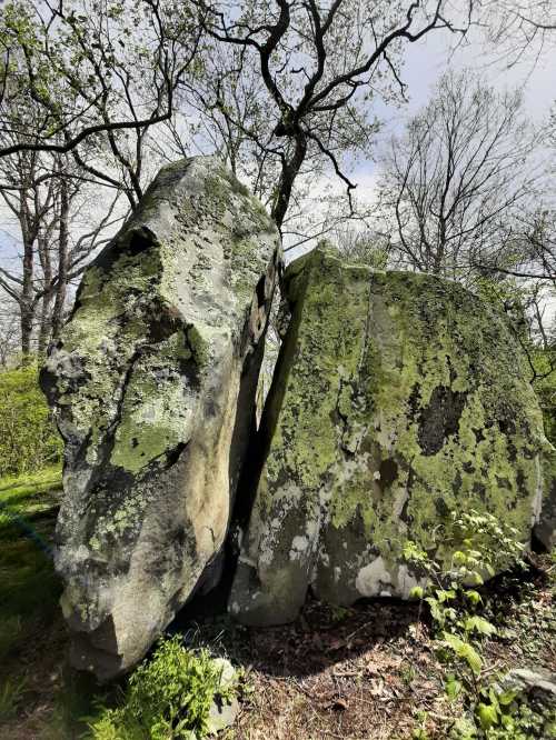 Two large, moss-covered boulders stand amidst greenery and trees under a cloudy sky.