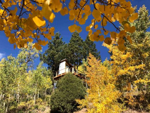 A treehouse nestled among vibrant autumn foliage and tall trees under a clear blue sky.