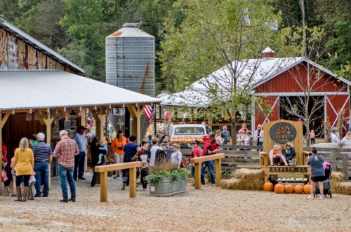 A bustling farm scene with families enjoying activities, pumpkins, and rustic buildings in a vibrant autumn setting.