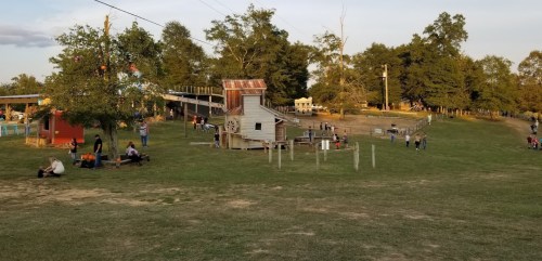 A grassy area with families enjoying outdoor activities, featuring a play structure and trees in the background.