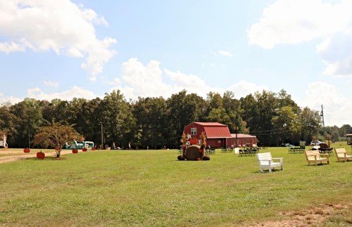 A sunny outdoor scene featuring a grassy field, a red barn, and scattered seating among trees and decorations.