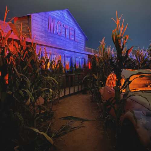 A colorful, eerie scene of a motel surrounded by tall corn stalks at dusk, with vibrant lighting illuminating the area.