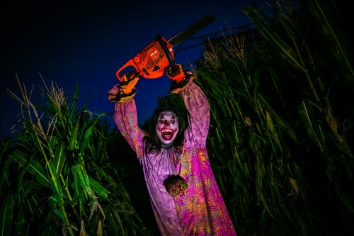 A clown in a colorful outfit holds a chainsaw, standing in a dark cornfield at night.