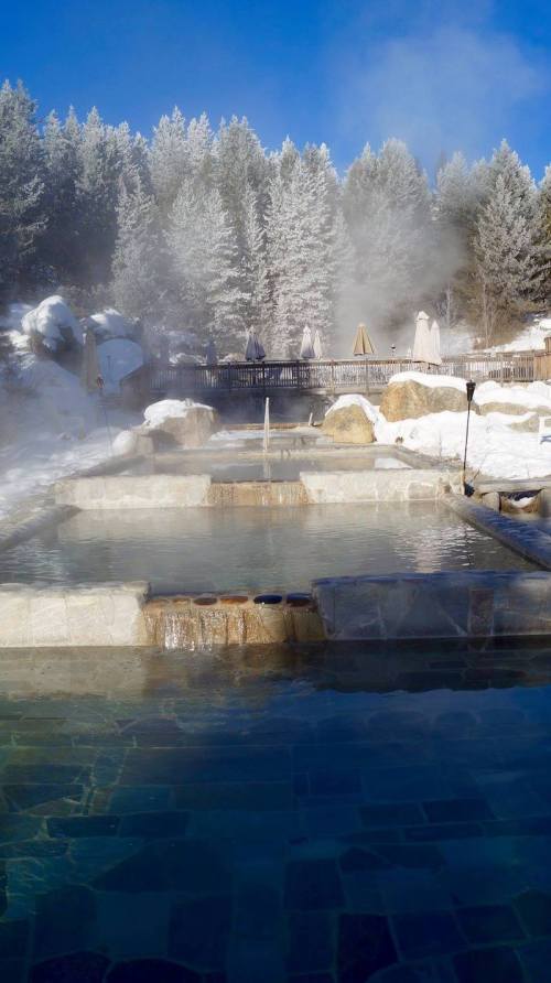 A serene hot spring surrounded by snow-covered trees and mist, with lounge chairs in the background under a clear blue sky.
