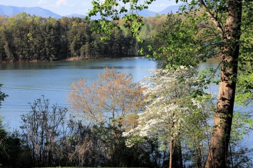 A serene lake surrounded by trees, with spring foliage and mountains in the background under a clear blue sky.