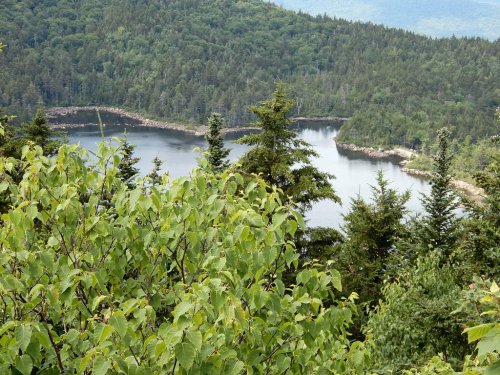 A serene view of a lake surrounded by lush green trees and hills, reflecting the natural beauty of the landscape.