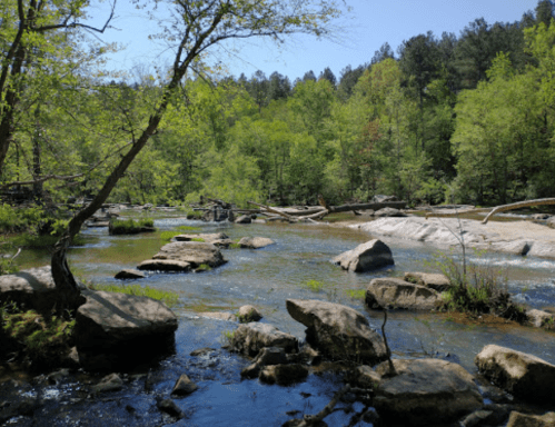 A serene river flows through a lush green landscape, with rocks and trees lining the banks under a clear blue sky.