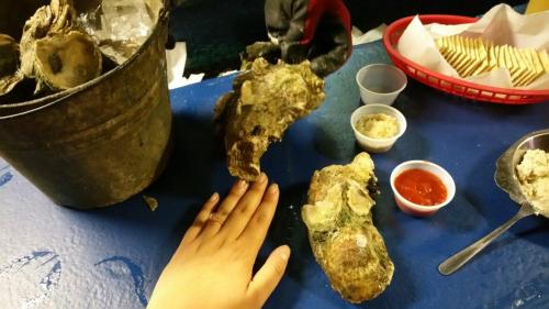 A hand reaches out to large oysters on a blue table, with condiments and crackers in the background.