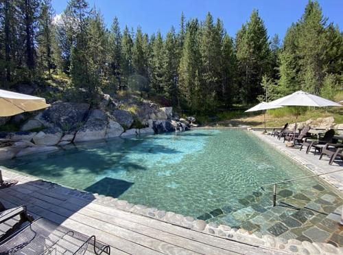 A serene outdoor pool surrounded by trees and rocks, with lounge chairs and umbrellas on a sunny day.