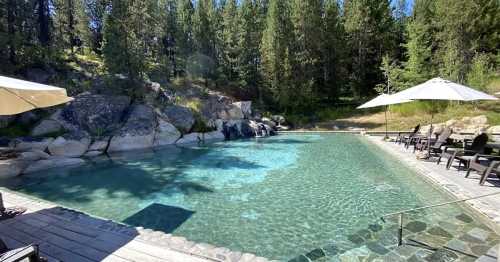 A serene outdoor pool surrounded by rocks and trees, with lounge chairs and umbrellas for relaxation.