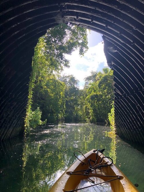 A kayak floats in a serene waterway, framed by lush greenery and a dark, arched tunnel entrance above.