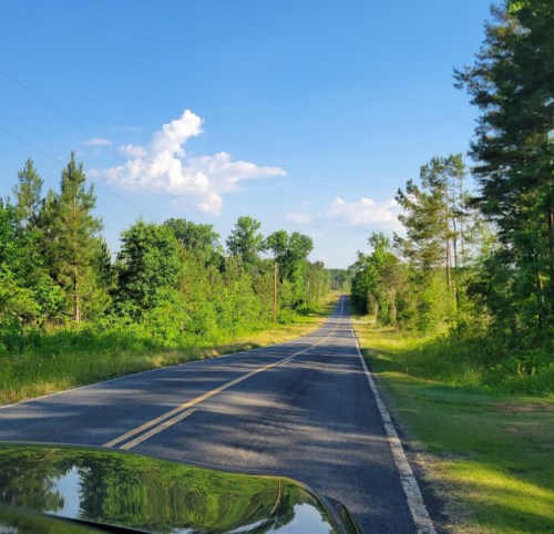 A winding road stretches through lush greenery under a clear blue sky with a few clouds.