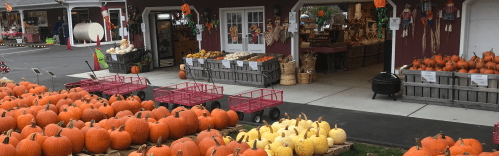 A pumpkin patch with various pumpkins and gourds displayed outside a market, with carts and decorations visible.