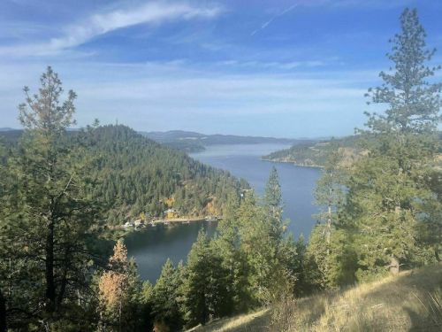 A scenic view of a lake surrounded by lush green trees and rolling hills under a clear blue sky.