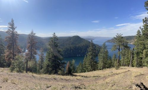 A panoramic view of a serene lake surrounded by lush green trees and distant hills under a clear blue sky.