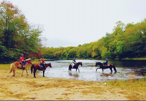 Four riders on horseback near a river, with trees in autumn colors lining the shore.