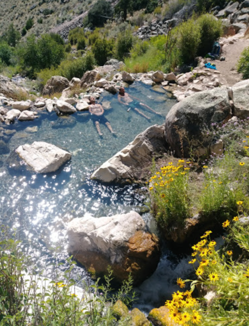 A natural hot spring surrounded by rocks and wildflowers, with people relaxing in the water under a sunny sky.