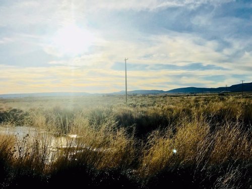 A sunlit landscape with tall grass, a pond, and distant mountains under a partly cloudy sky.