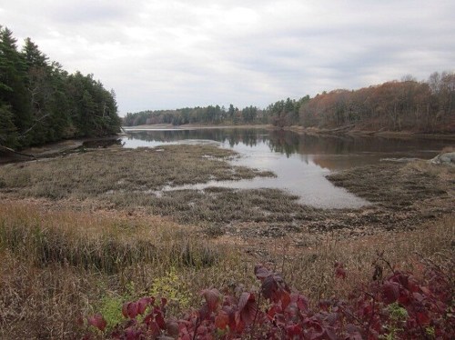 A serene landscape featuring a calm river surrounded by trees and marshy land under a cloudy sky.