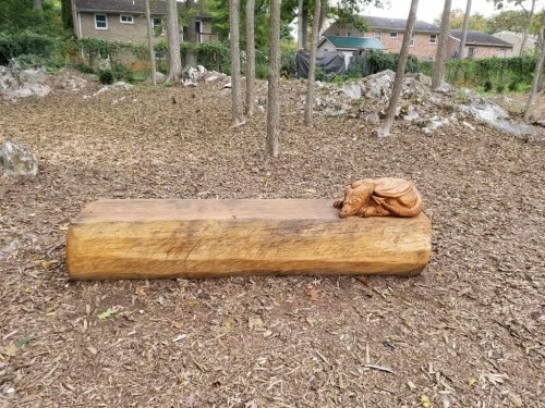 A carved wooden bench resembling a sleeping dog, set in a natural outdoor area with trees and mulch.