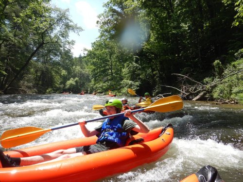 A group of people kayaking on a river surrounded by lush green trees on a sunny day.