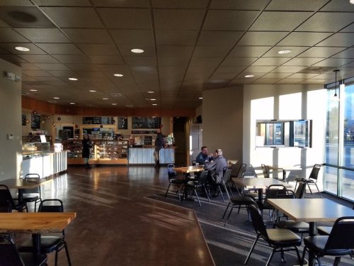 A cozy café interior with tables, chairs, and a counter displaying baked goods, sunlight streaming through large windows.